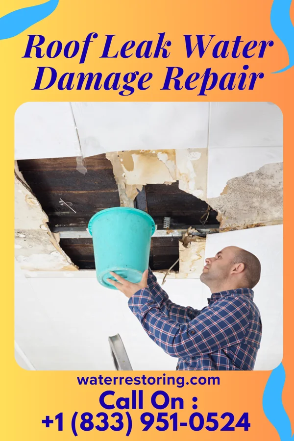 Roof Leak Water Damage Repair in David City, NE